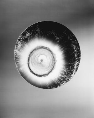 Circles