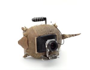 post.image.alt